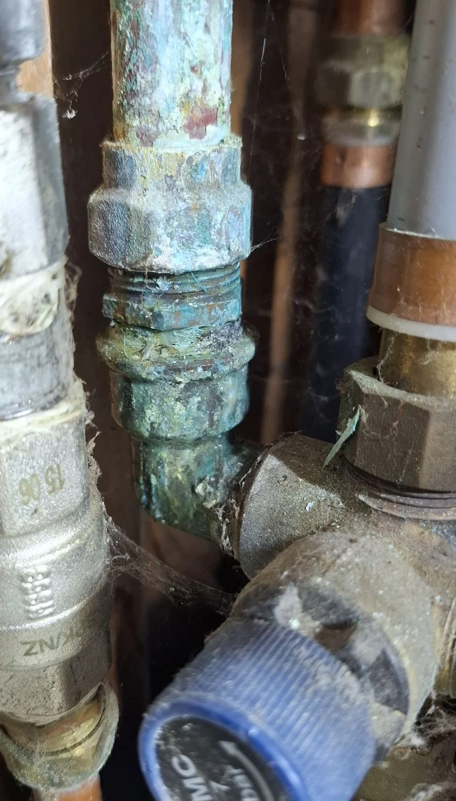 Reassembled brass connection on the cold-water feed to a tempering valve in Waterloo
